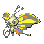 Beautifly Normale Fronte ♂