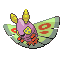 Dustox Normale Fronte ♂