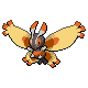 Mothim Normale Fronte