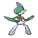 Gallade Normale Fronte
