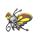 Beautifly Normale Fronte ♂