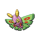Dustox Normale Fronte ♂