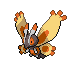 Mothim Normale Fronte