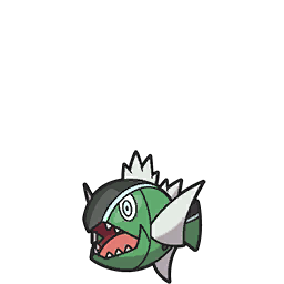 野蠻鱸魚 普通 正面