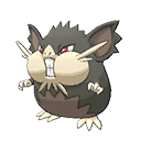 Raticate-Totem-Alola Normal Front