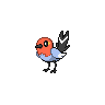 Fletchling Normal Front