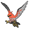 Talonflame Normale Fronte