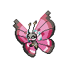 Vivillon Normale Fronte