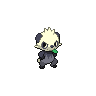 Pancham Normale Fronte