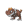 Tyrunt Normale Fronte