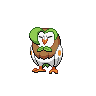 Dartrix Normal Frente