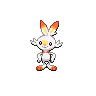 Scorbunny Normale Fronte