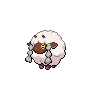 Wooloo Normale Fronte