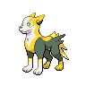 逐电犬 普通 正面