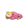 Slowpoke(Forma di Galar) Normale Fronte