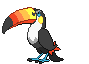 Toucannon Normal Frente