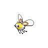 Cutiefly Normale Fronte