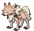 Lycanroc Normale Fronte