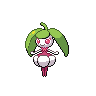 Steenee Normale Fronte