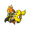 Tapu Koko Normale Fronte