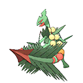 Sceptile(MegaSceptile) Normale Fronte