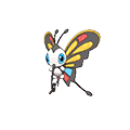 Beautifly Normale Fronte ♂