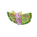 Dustox Normale Fronte ♂