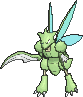 Scyther Normale Fronte ♂