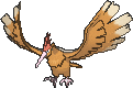 Fearow Normale Fronte