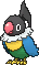 Chatot Normal Frente