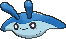 Mantyke Normal Frente