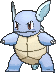 Wartortle Normale Fronte