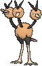 Dodrio Normale Fronte ♂