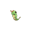キャタピー 通常 前