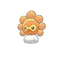 Castform(Forma Sole) Normale Fronte