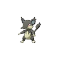 Rattata-Alola Normal Front