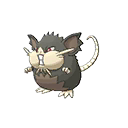 Raticate(Forma di Alola) Normale Fronte