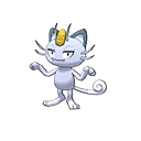 Meowth(Forma di Alola) Normale Fronte