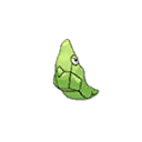 トランセル 通常 前