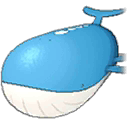 Wailord Normale Fronte