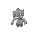 Banette Normal Frente