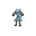 Riolu Normale Fronte